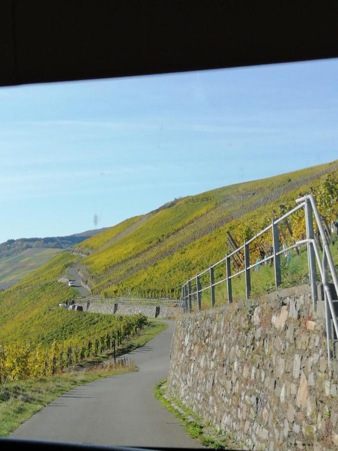 Weingut Licht-Stadtfeld Браунеберг Экстерьер фото